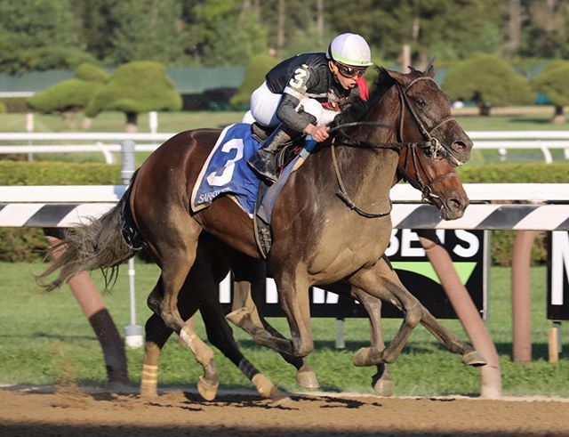 PhotosbyZ's tweet photo. Perfect Alibi with Iran Ortiz Jr. Up wins the 2019 Adirondack for trainer Mark Casse and owner Tracy Farmer @threechimneysfarm #reachforthesky https://t.co/DdNVlRjORR https://t.co/QA3JXtBNG9