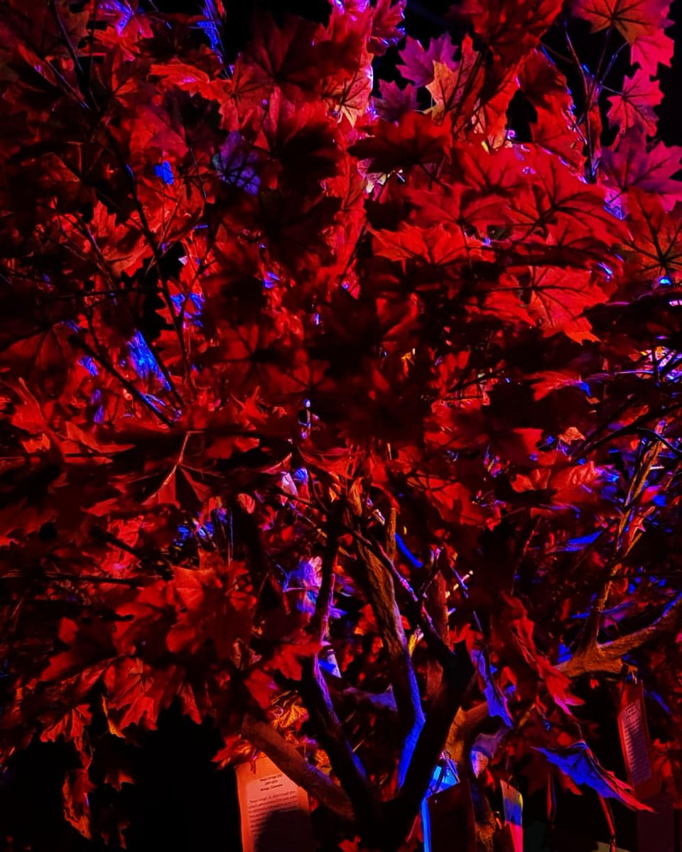 Lethaniel S. Coombe tweet media