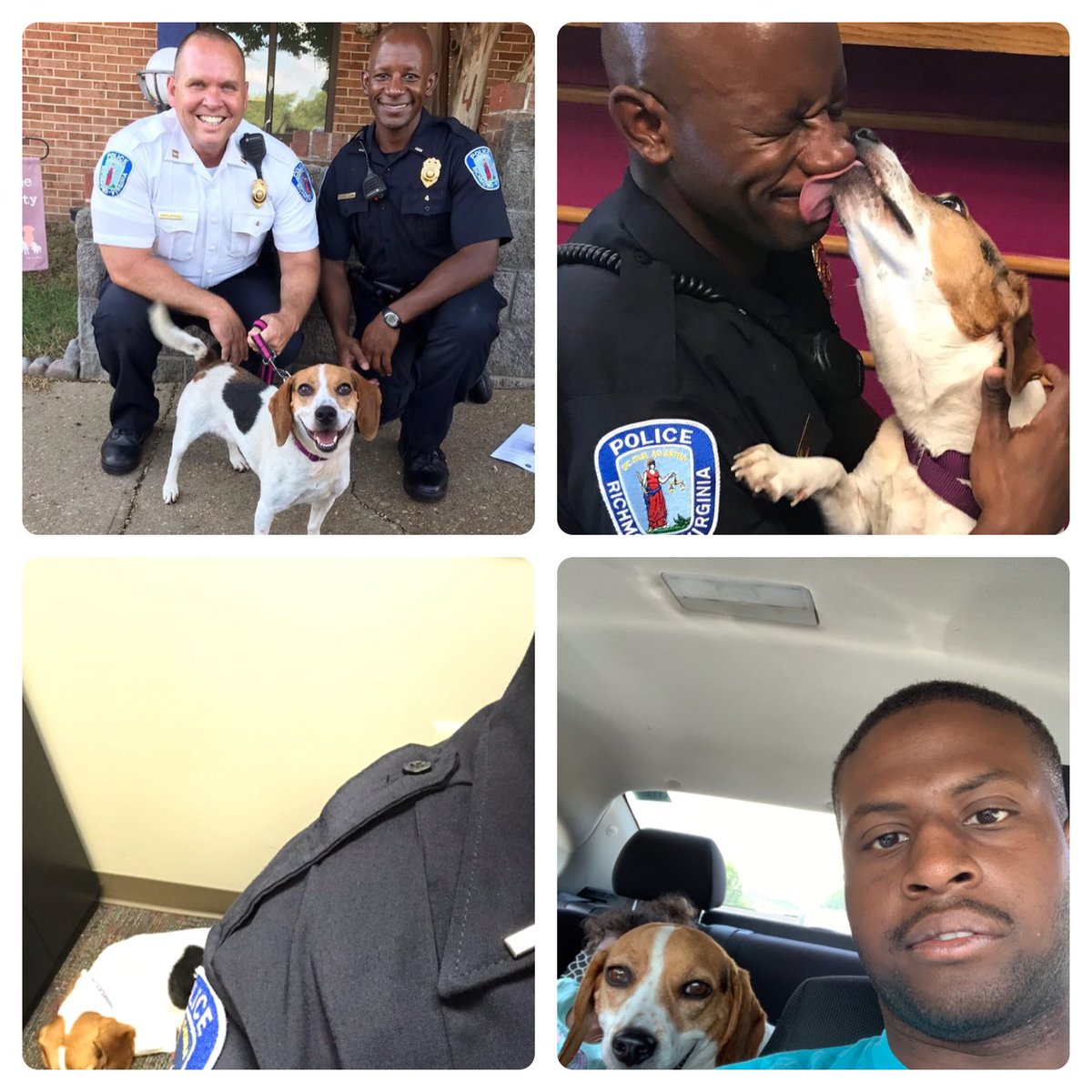 RPDLtAnthony's tweet photo. After only 2 weeks with us, @RACC_Shelter foster ๐ถ Queenie found her furever home with one of our @RichmondPolice officers. Sheโs going to be missed here, but Iโm so happy for her! #whattogetnext https://t.co/ReEf8iAqAe
