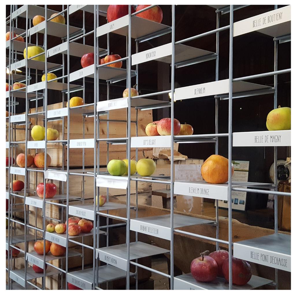 CISEvents's tweet image. An apple a day....

Doing it differently at @fat_pig_farm

#ciseventmanagement