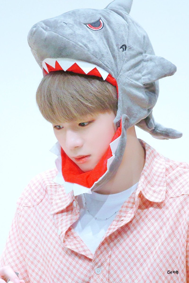 xixiesmee's tweet photo. 다니엘:나 또 물리는 거야??
不要恰koko (·•᷄ࡇ•᷅ ）
📷✨@DEJAVU_danik님 감사합니다!!!
#kangdaniel  #강다니엘 #팬아트 
 #姜丹尼尔 #カンダニエル 
#คังแดเ��ียล  #강다니엘팬아트 https://t.co/GMk2CrBgZD