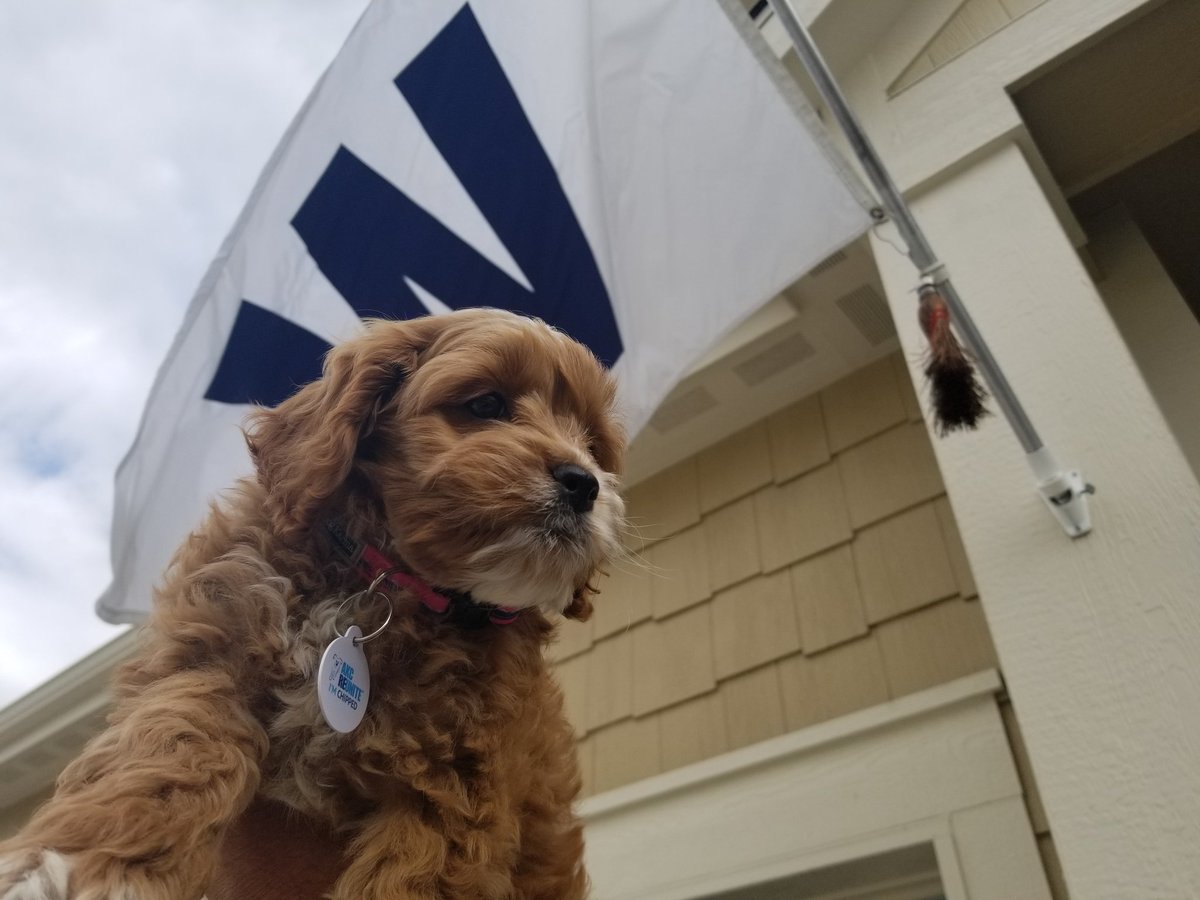 Luna's first sweep! #GoCubsGo