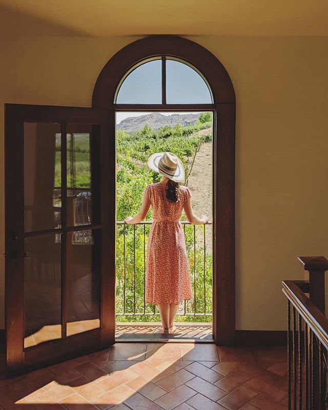 SladeSolobay's tweet photo. Can't say I care for wine all that much but the Okanagan Valley sure is beautiful 🏜️
_________________________________________

#explorebc #explorecanada #hellobc #canada #okanagan #exploreokanagan #oliverbcwine #oliverbc #winecapitalofcanada #summer #wi… https://t.co/U035fSuX5n https://t.co/EfQnkMzSBn