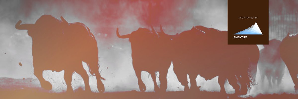 BlockChannel's tweet image. We’re decked out and ready for #SeasonBullrun of #BlockChannel. Gonna be so educational! 🔥🐂