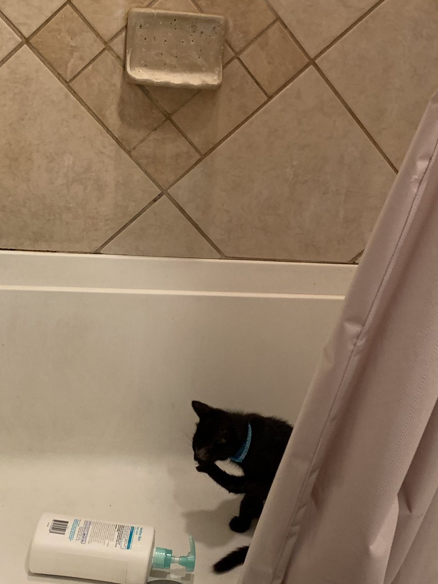 nolefteye's tweet photo. taykeing, a. “shower” pribacy PLEECE https://t.co/bFBouD3HeE
