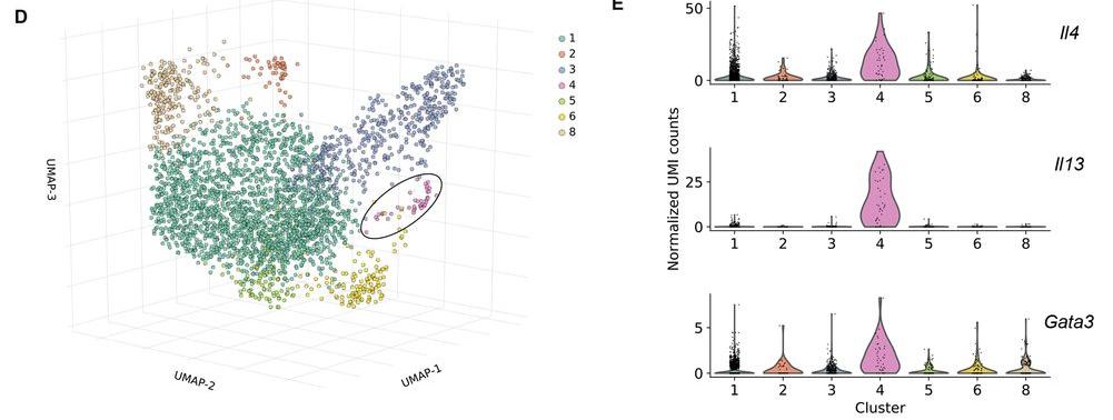 mmw_lmw's tweet photo. #FollicularHelper_Subsets | Regulating #HighAffinity_IgE_Responses | #AllergenSpecific #TFH13 | IL-13hi IL-4hi IL-5hi IL-21lo | BCL6 and GATA3 | Stephanie Eisenbarth @StephanieEisen @YaleBIO @sciencemagazine https://t.co/Na58vPmZYy https://t.co/f4iJNTBwhm