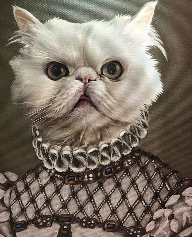 misspicklescat's tweet photo. Getting teh royal treeeeatment fanks to @petcreatives! Check out mah Instagram story fur teh grand unboxing. Now let dem eat crabcake!!! #royal #queen #princess #art #silly #museum #muse #sunday #sundayfunday #collar #fancy #glamorpuss #meowdel https://t.co/xyiDwqyze6 https://t.co/MIygjWiWLY