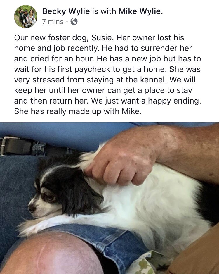 ValleyGirl1994's tweet photo. My parents are amazing people. ππ#thebest #helpingothers #dogrescue #thegoodintheworld #fosteringdogs #bethelove https://t.co/Wfn5aqbE7R
