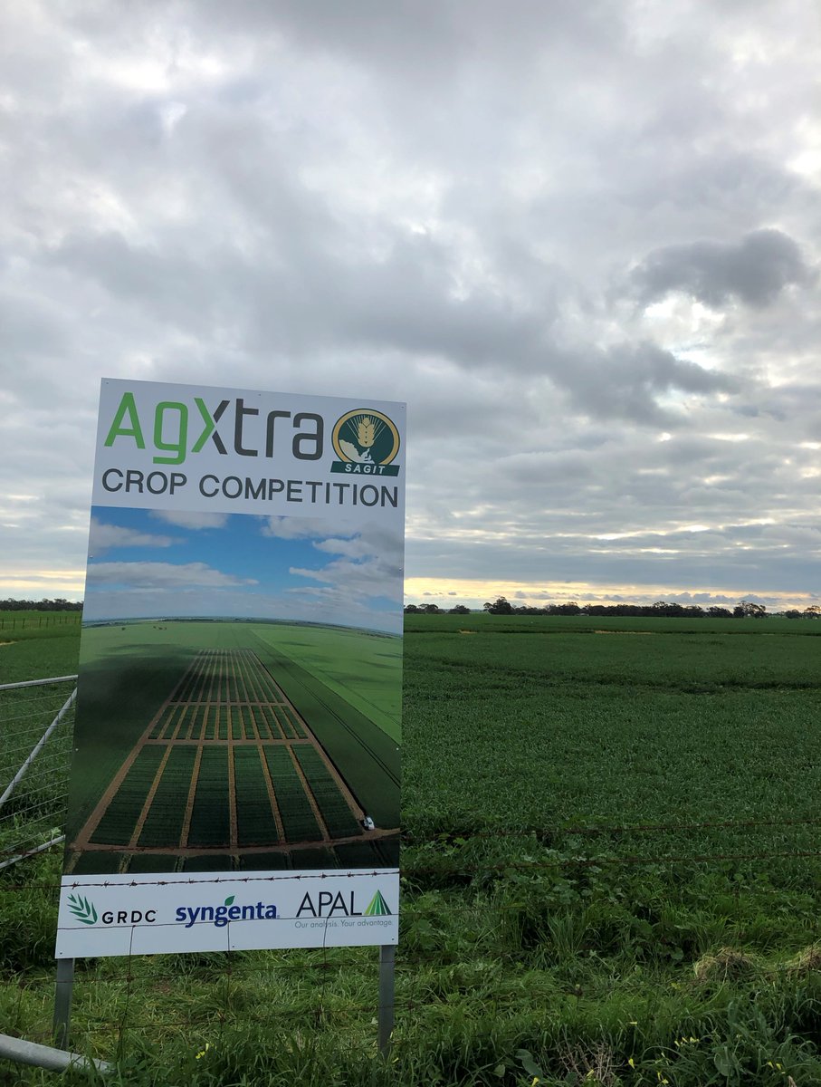 AgXtra's tweet image. A sign of things to come… #cropcomp #agxtra #AusAg

@theGRDC @SAGrainTrust @AUASA_ADELAIDE @Rostrevor1923 @UrrbraeHS