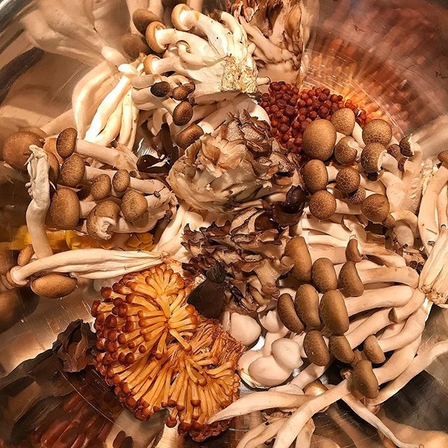 Chefrli's tweet photo. I love Mushrooms!!!
#teamchefrli #werejustdifferent https://t.co/12ddCM4Fw2 https://t.co/JKqcTW2ABX