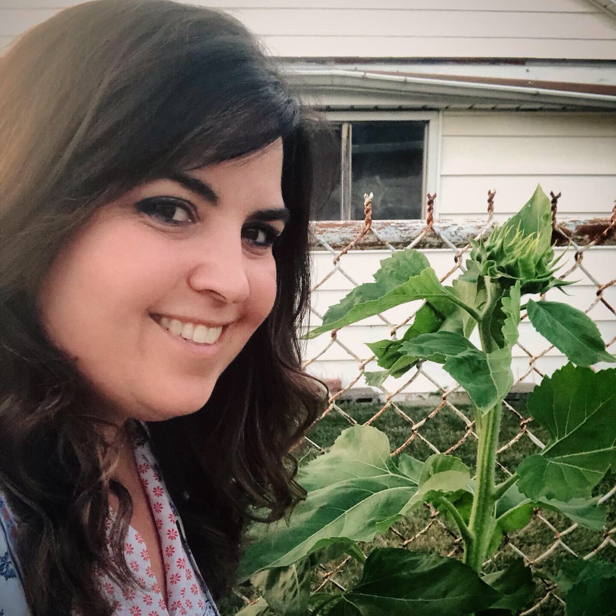 gamraes's tweet photo. Almost as tall as me, they grow up so fast! My first #sunflowers! #mycrop #garden https://t.co/WRsIq5MqPe