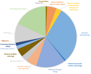DaturaDNA's tweet photo. Deel 2 van onze blog over bodem analyses is nu te lezen op onze site. We gaan in op de taxonomische resolutie en verschillende typen data analyses en leggen uit waarom we graag unieke, universele primers hanteren. Zie: https://t.co/rgJCNRdYTc
#onderzoek #DNA #bodem #metabarcoding https://t.co/Cf0RWV1O2j