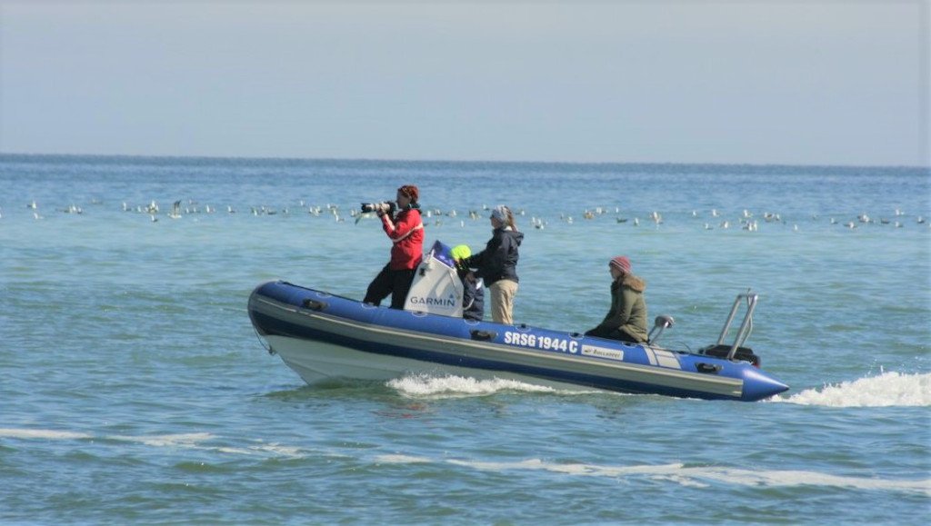 Fundraising campaign for the Namibian Dolphin Project tosco.org/2019/08/05/fun…