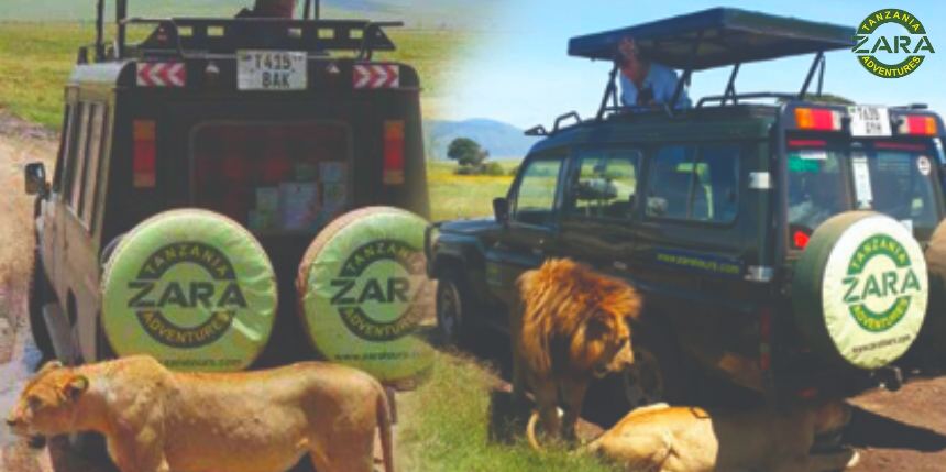 30’s Day campaign has now OFFICIALLY STARTED, and you are invited to join this campaign!

Don't Miss the opportunity Visit Today @

🌎zaratours.com/special/zara-s…

#AfricanSafariTours #TanzaniaSafariTours #ZaraTours