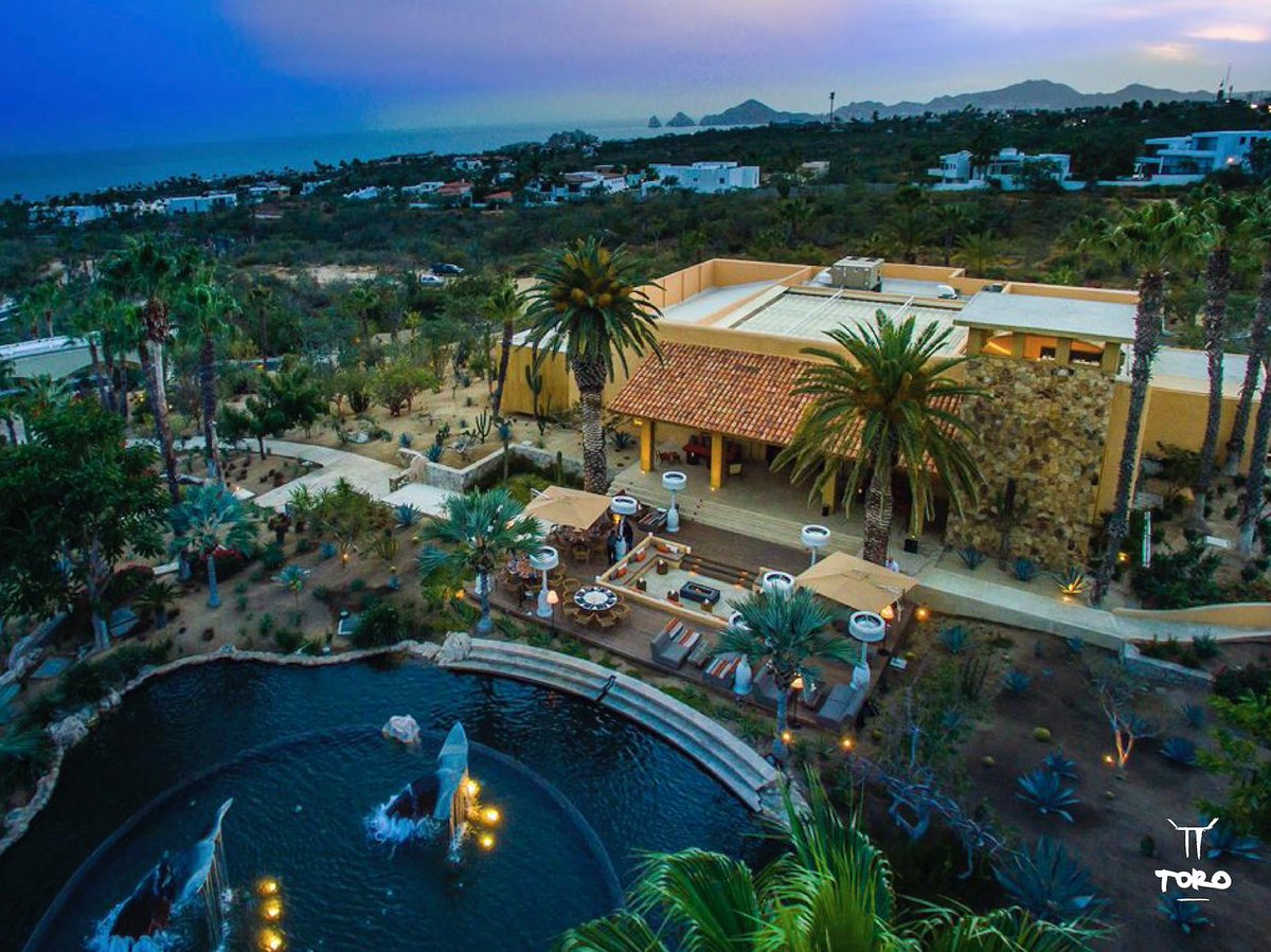 Toro_Cabo's tweet photo. Tienes la oportunidad de descubrir un excelente lugar para cenar, ¡Visita Toro Cabo esta noche!🥂

#ToroCabo #LatinKitchenAndBar #ToroCaboExperience #LosCabos https://t.co/fzDmH57VhM