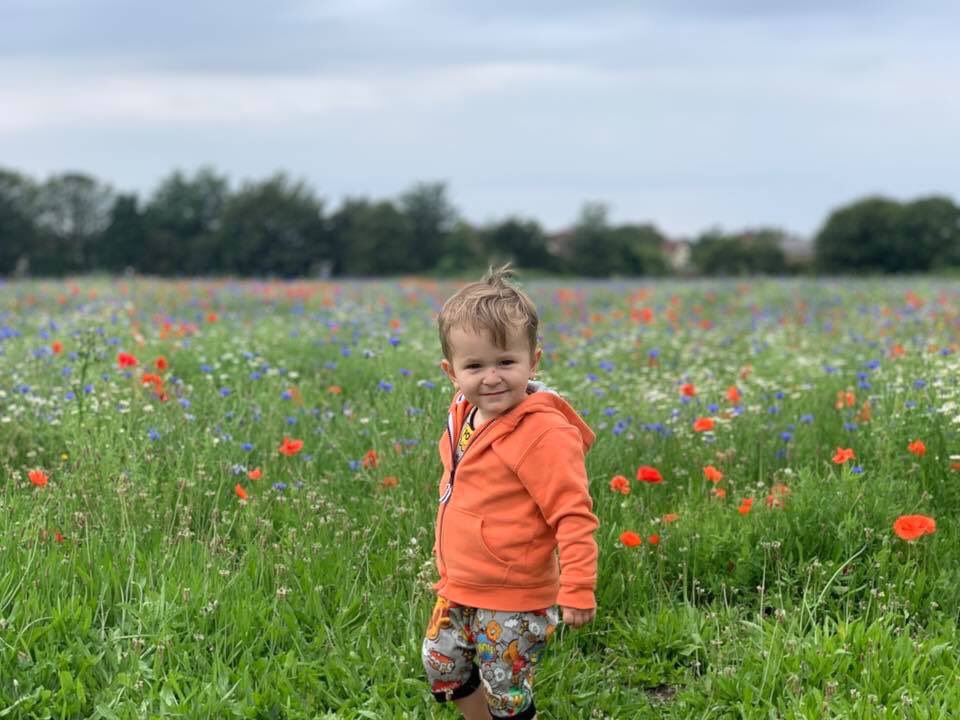 The wildflowers on Rimrose are so beautiful!! My son loved seeing them yesterday. And they want to put a road through the park? I think this little face would be absolutely devastated! #noroadnotar #saverimrosevalley @saverimrose