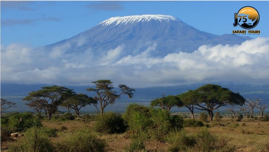 Your Kilimanjaro dream climb is entirely your own to design. 
J75 Safari will work with you to customize exactly the triumphant Tanzanian mountainous quest experience you want.
#J75Tours #Climbingkilimanjaro #KilimanjaroRoutes #TanzaniaSafariAndClimbing