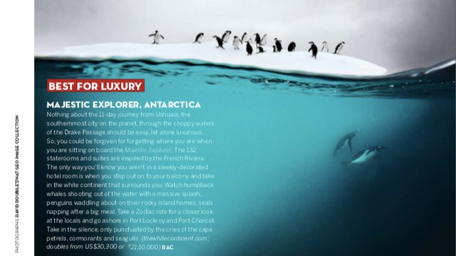 The Q Experiences tweet media