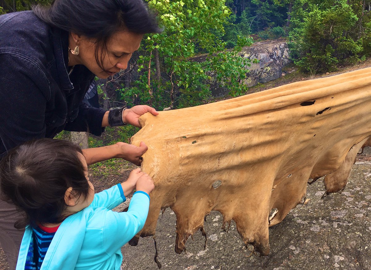 My awesome cuzzin showing my lil granddaughter how to stetch hide #INDIGENOUS #dene #denendeh #moosehide #hidetanning #culture #family #NativeAmerican @AboriginalYouth @IndianCountry @AIMICtr @NCAI1944 @AFN_Updates @SmithsonianNMAI #traditionalknowledge #ancestors @CBCIndigenous