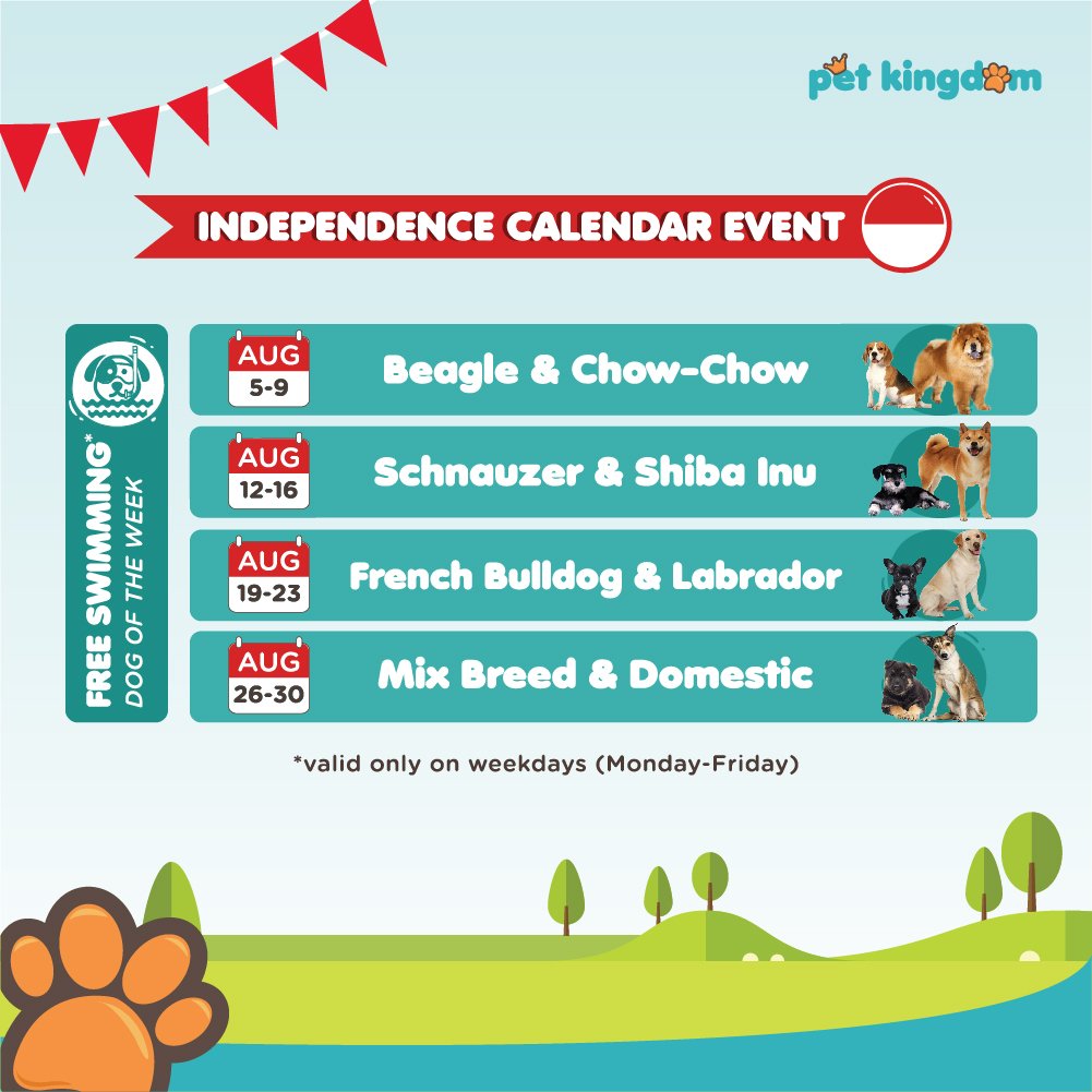 Pet Kingdom Anna Blog