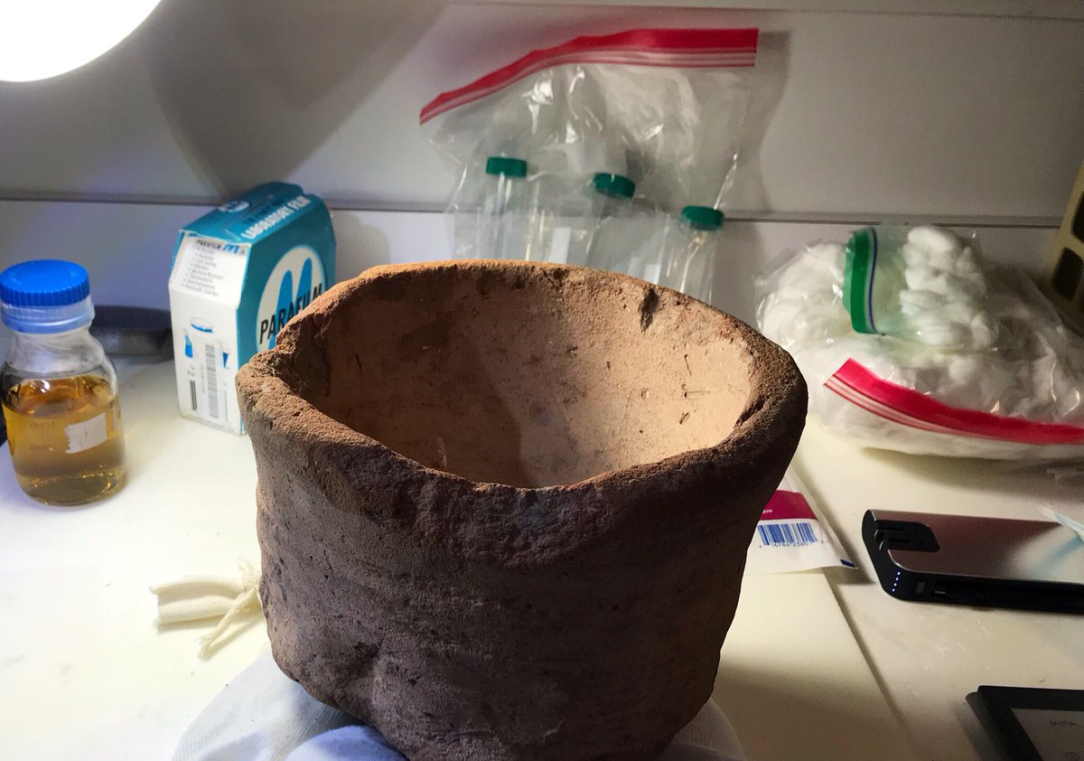 Using a nondestructive process and careful sterile technique, we believe we can actually capture dormant yeasts and bacteria from inside the ceramic pores of ancient pots. We sampled beer- and bread-making objects which had actually been in regular use in the Old Kingdom.