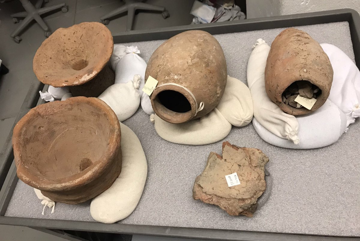 Using a nondestructive process and careful sterile technique, we believe we can actually capture dormant yeasts and bacteria from inside the ceramic pores of ancient pots. We sampled beer- and bread-making objects which had actually been in regular use in the Old Kingdom.