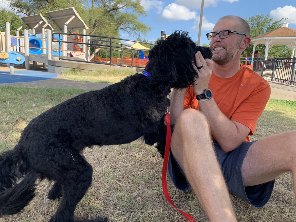 OBrienMegin's tweet photo. Rescued this amazing fur-baby today from @kshumanesociety and spent the afternoon at the park socializing! He needs some major loving and is already proving to be a perfect addition to our active family! Welcome home Theo! #pimpinjoy https://t.co/ffnuy0XtFM