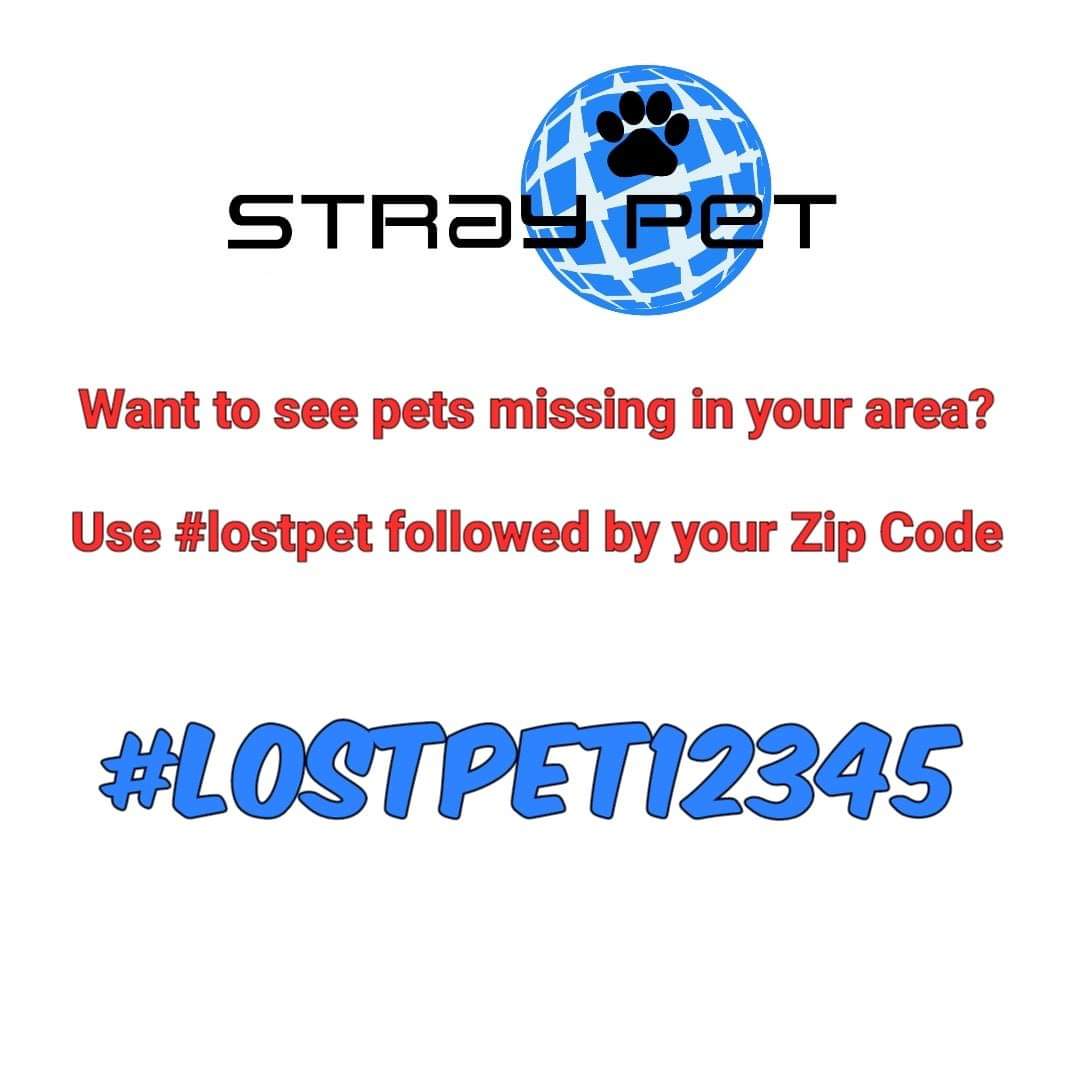 StraypetM's tweet image. #straypet #Minnesota #TwinCities
