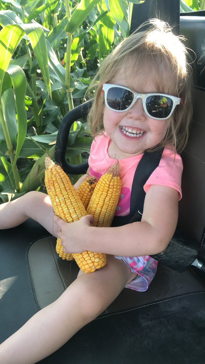 Kyle Wehmeyer tweet media