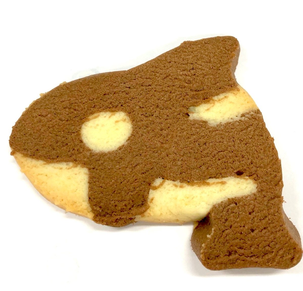 バースデーピンバッチ 鴨川シーワールド50周年 誕生日 未使用 鴨川シーワールド 非売品ピンバッジ Cmpramosmejia Com Ar