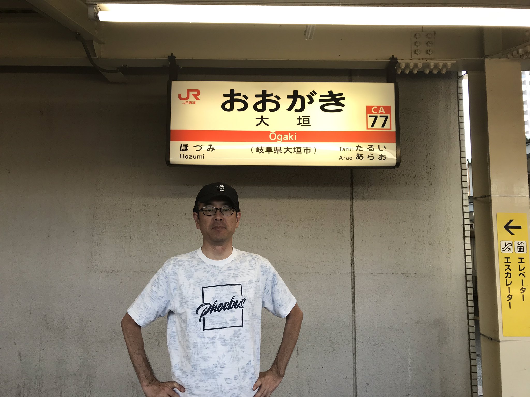 daitawife 