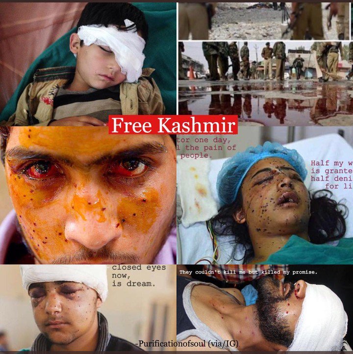 StreamzyraApp's tweet photo. #PakArmy and #PakNation ever ready for rights of Kashmiris.
#CaptBasit
#KashmirParFinalFight https://t.co/zgN6bUnshu