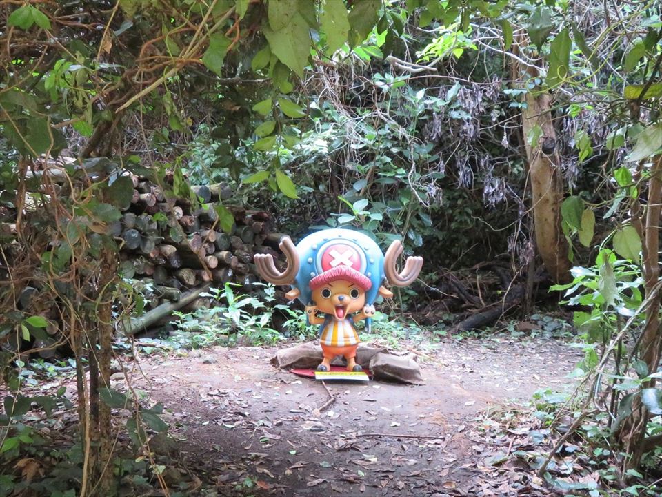 ワンピース猿島コラボ Twitter પર હ શટ ગ