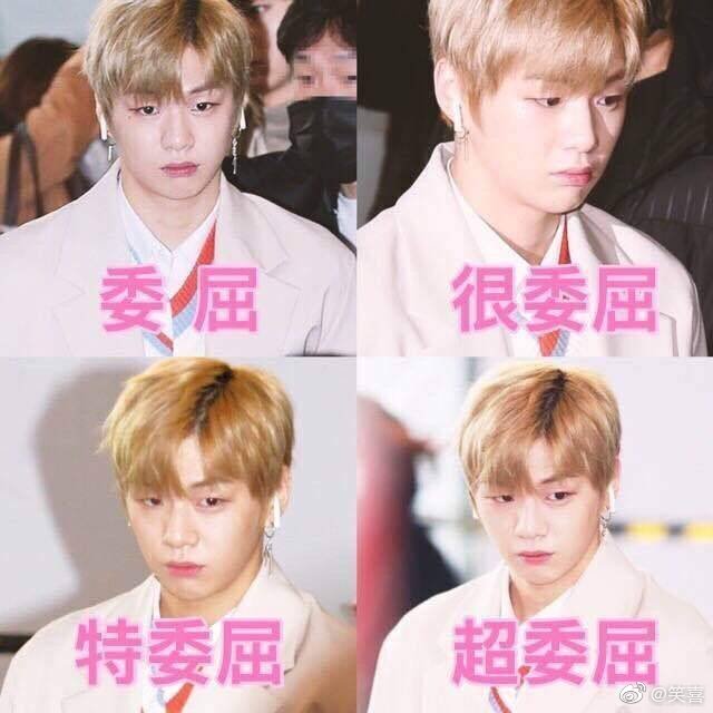 LoveDanielK8's tweet photo. #강다니엘
강다니엘 공카
강다니엘 뭐해
강다니엘 앨범
강다니엘 피지컬 
강다니엘 사모예드
강다니엘 춤선
강다니엘 뮤비
강다니엘 팬싸
강다니엘 직캠
강다니엘 기부
강다니엘 어깨 
강다니엘 엘르
강다니엘 루이비통
강다니엘 초동46만 https://t.co/EYMDHzhGh7