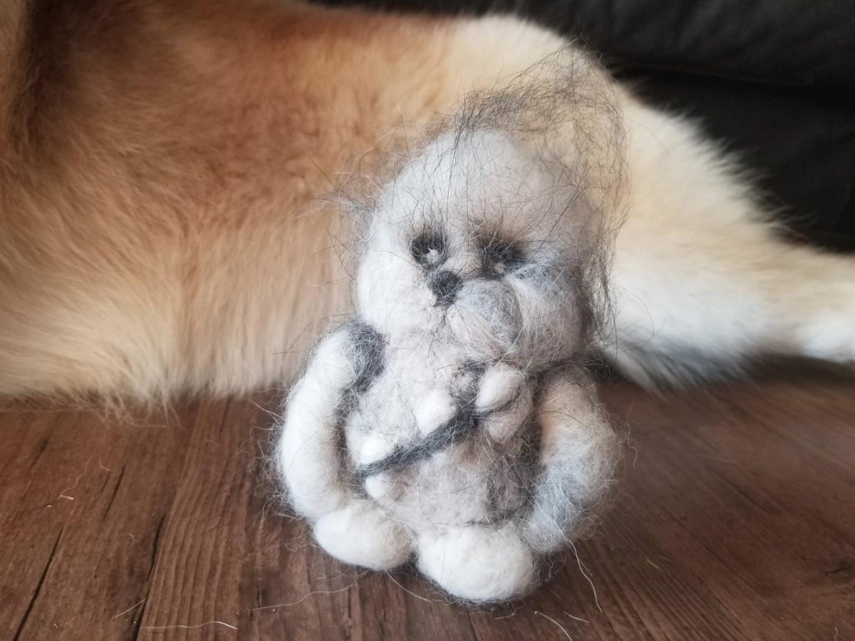 TeamBetaBlue's tweet image. 