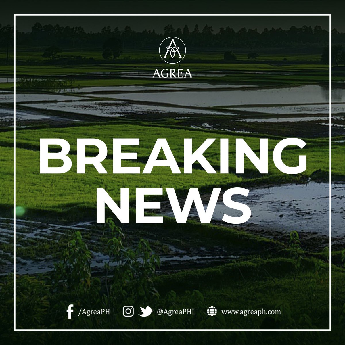 Agrea tweet media