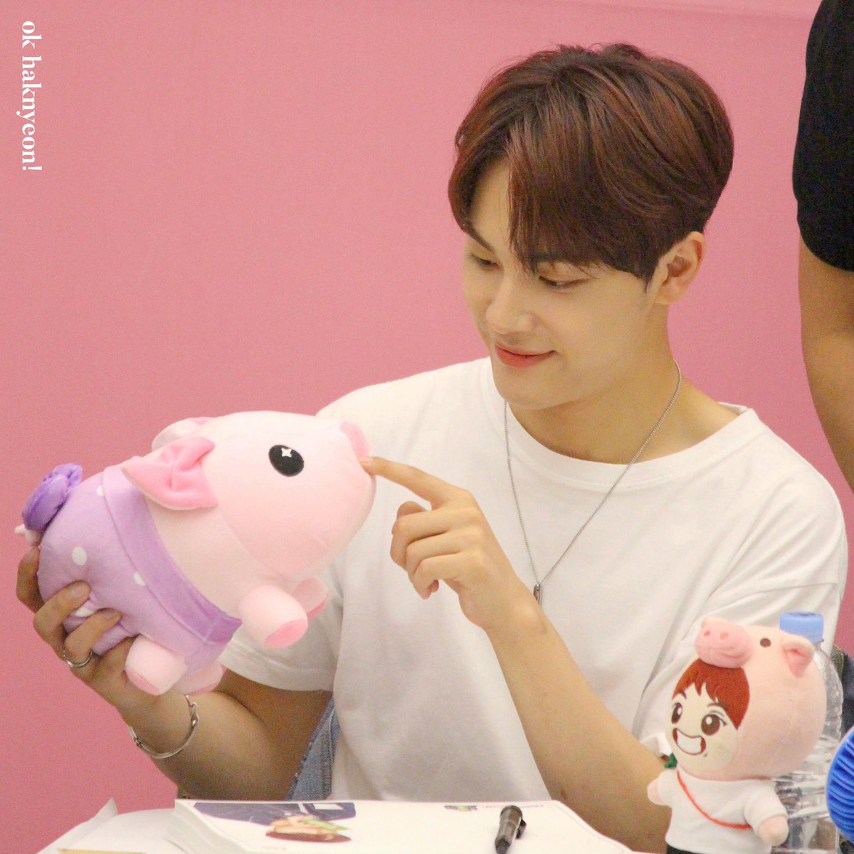 haknyeonarchive's tweet photo. 🐷✨ https://t.co/k2AJOKAMEx