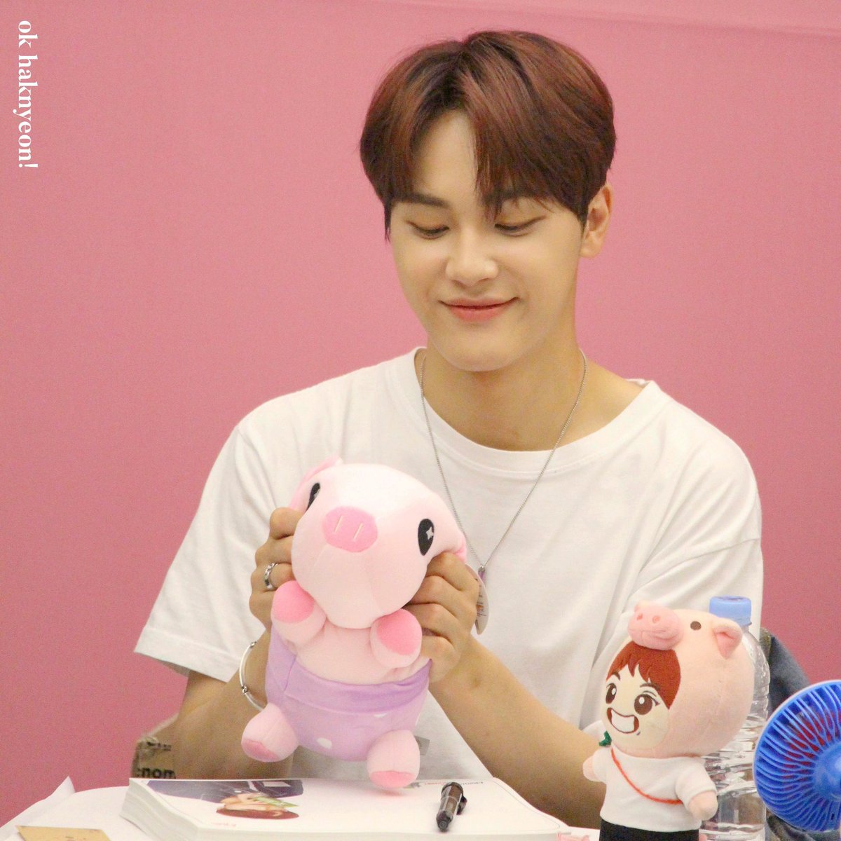 haknyeonarchive's tweet photo. 🐷✨ https://t.co/k2AJOKAMEx
