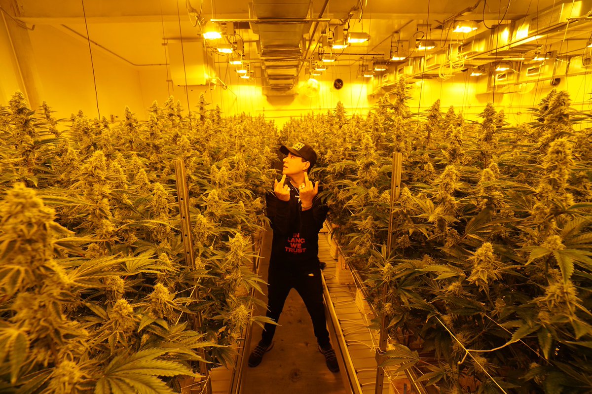 maxso_'s tweet photo. Wild in the fields https://t.co/DCfpTDJrwG