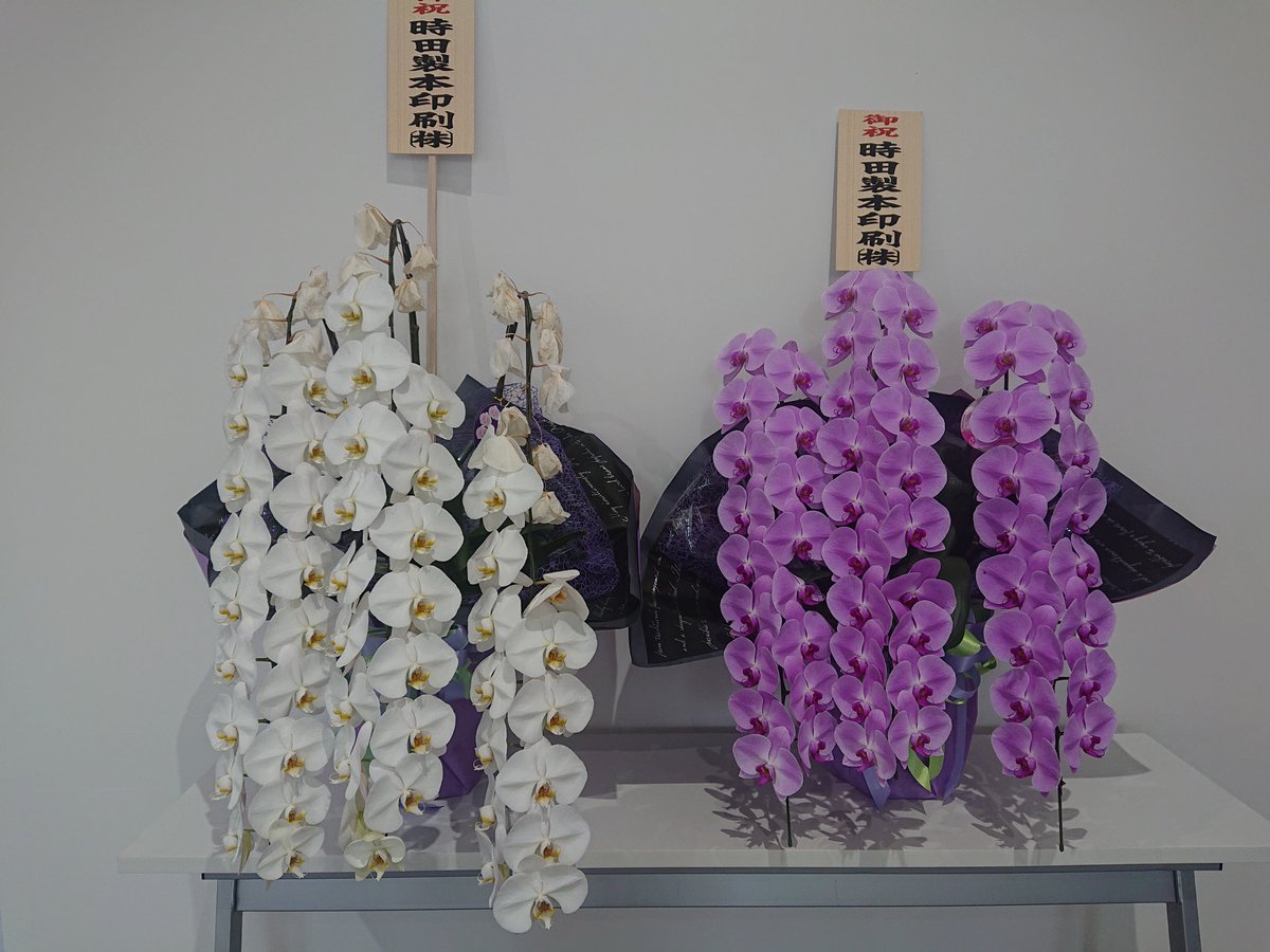 エヴァンゲリオン展 2025 あなたにおすすめの商品