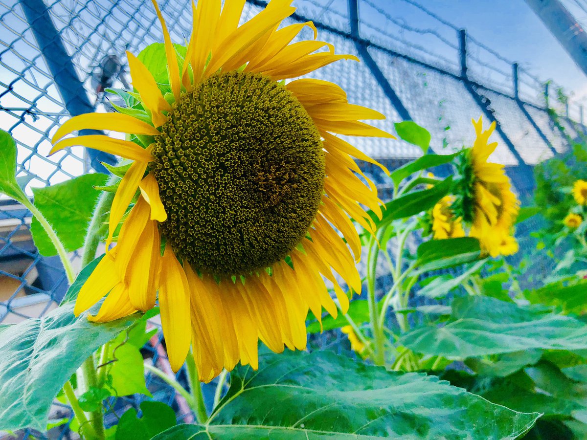 最高にエモい写真撮れたから見て…? 