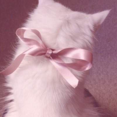 BlueBubblePixie's tweet image. PERMANENT STARTER CALL 

❤️ for a gif starter 
🔁 for a written starter 

❤️ + 🔁 to spread the word