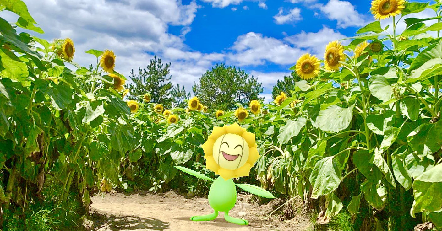 キマワリ Twitter Search Twitter