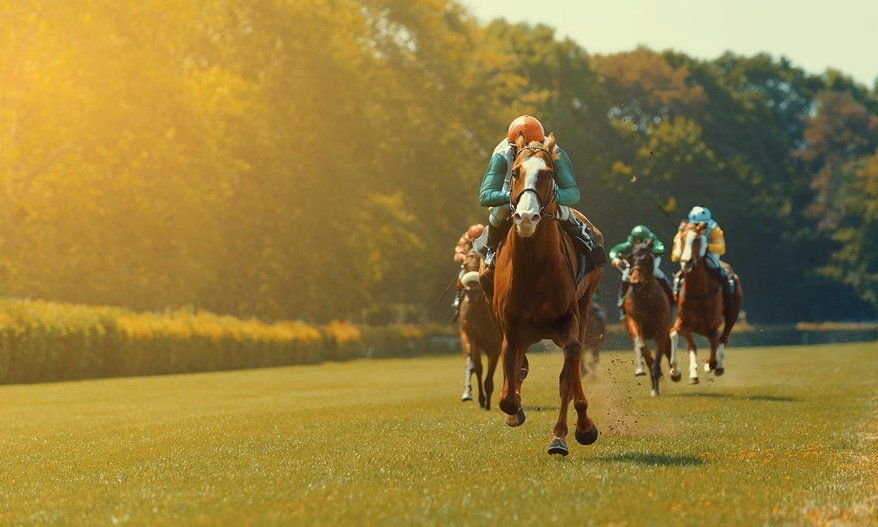 datascrapingexp's tweet photo. Get #Horse #Racing #Data #Daily from #888sport

Ask For Free Sample
Email us on info@webscrapingexpert.com
Website: https://t.co/ri88tG0bvG https://t.co/Yyc8Bc4z2K