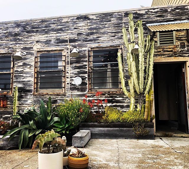 elee_panda's tweet photo. 💕#SanFrancisco 🌵 https://t.co/ZgcFrJh5FL https://t.co/4YkADPzTRx