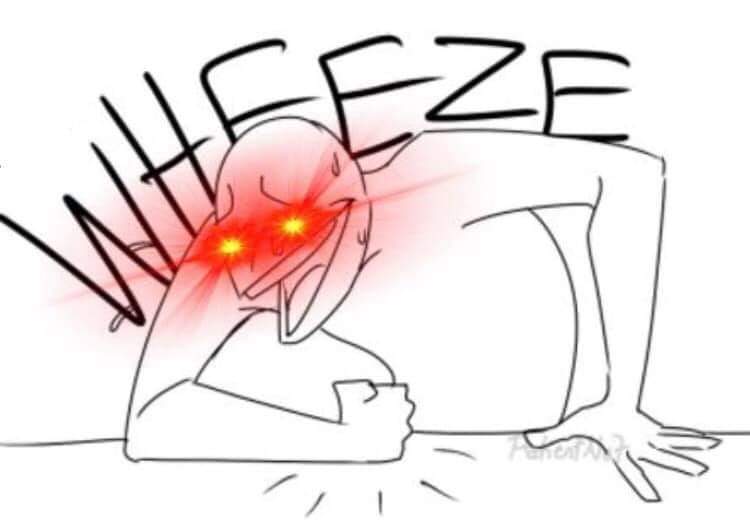 /i just got followed on this account by some weird as gay muslim dude who tweets photos of his bulge and hairy stomache