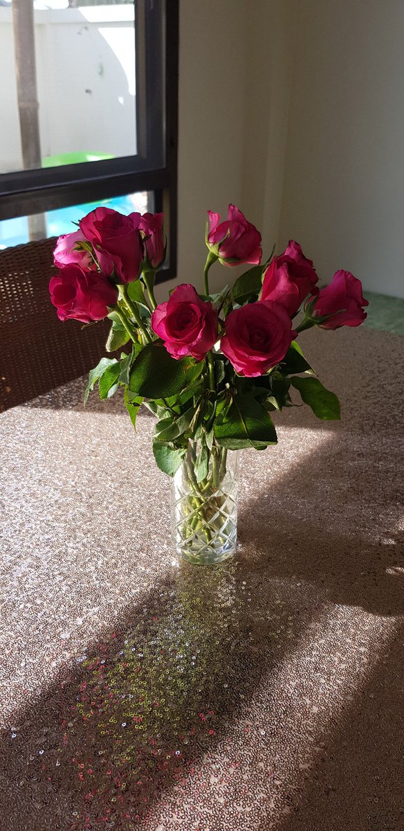 veeteeteach's tweet photo. #goodmorning all in the #earlyrisersclub and wishing you all a day of joy and kindness. This is my last day of 49 and so far going well!
#Phuket #Thailand #HomestaySummer #roses https://t.co/7WAStMTWNS