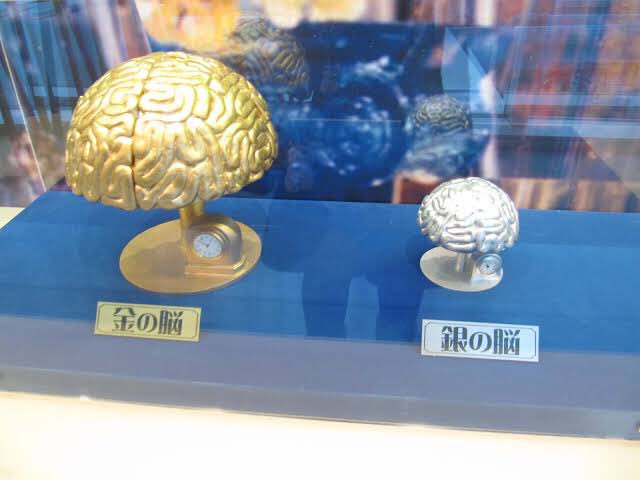 この金の脳は…はいメロンパン入れになっておりまーす♪」 「今週のMFT