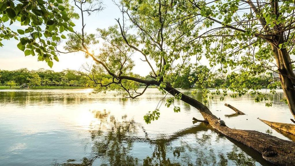 1C1Stephanie's tweet photo. Deux heures par semaine dans la nature, la dose minimale pour votre bien-être | ICI https://t.co/znBHgh9Qnx https://t.co/8xfwGHT6wi