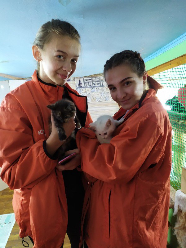 newrubezh's tweet photo. Кохомские новорубежцы посетили приют для животных «ЗОО37» #НовыйРубеж #ИвановскаяОбласть #Кохма https://t.co/OSbaaK6KGC https://t.co/NbgvtPe2Ad
